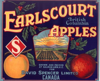 Earlscourt Apples Diamond S